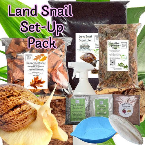 Giant african land - african,
